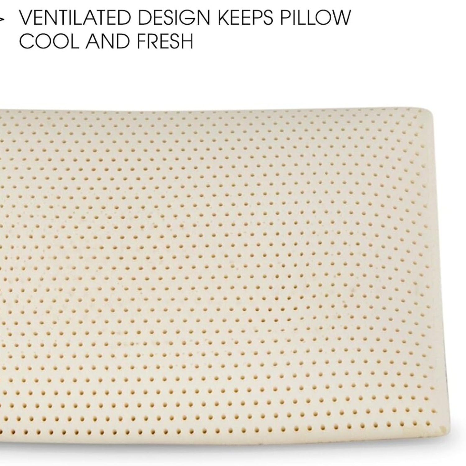 Natural Talalay Latex Pillow, Standard Mid Loft: image 3